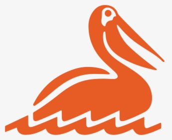 Transparent Brown Pelican Clipart - Duck, HD Png Download, Free Download