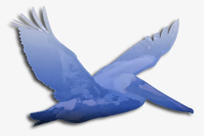Picture - Swallow, HD Png Download, Free Download