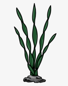 Club Penguin Rewritten Wiki - Weed In The Sea, HD Png Download, Free Download