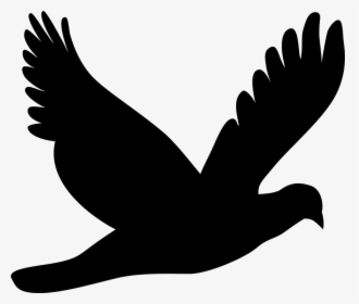 Dove Silhouette Clipart, HD Png Download, Free Download