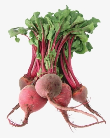 Beet Png Image - Vegetable Beetroot, Transparent Png, Free Download