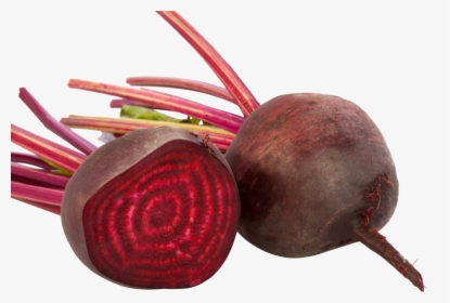 Beet Png - Zoning Effect Of Beetroot, Transparent Png, Free Download
