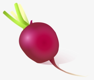 Free Radish Clipart, HD Png Download, Free Download