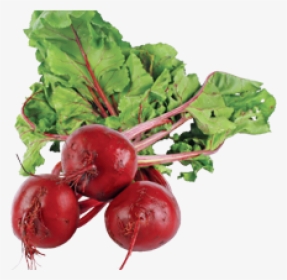 Beetroot Did You Know, HD Png Download, Free Download