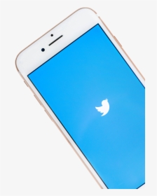 Twitter Bird Logo Png Transparent Background, Png Download, Free Download
