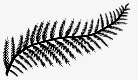 Transparent Background Fern Clipart, HD Png Download, Free Download