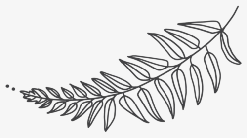 Fern-2, HD Png Download, Free Download