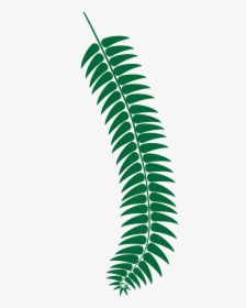 Fern, HD Png Download, Free Download