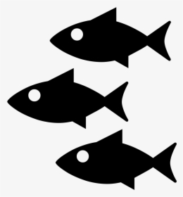 Fishes - Fishes Icon, HD Png Download, Free Download
