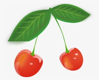 Cherries Cartoon Transparent, HD Png Download, Free Download
