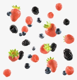 Berries-explosion - Fruits And Berries Explosions, HD Png Download, Free Download