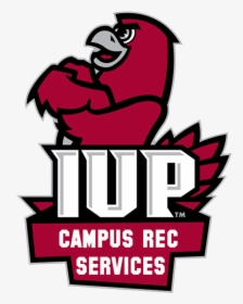 Fitness Clipart Intramurals - Indiana University Of Pa Mascot, HD Png Download, Free Download