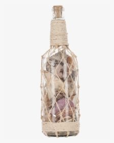 Shells In Bottle & Abaca 3x11" - Seashell, HD Png Download, Free Download