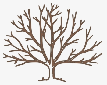Thumb Image - Bare Tree Clipart, HD Png Download, Free Download