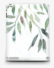 Transparent Ramas Png - Russian Olive, Png Download, Free Download