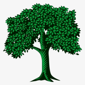 Background Graphics Tree For Family Tree, HD Png Download, Free Download
