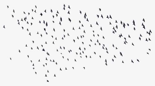Birds Silhouette Png , Png Download - Flock, Transparent Png, Free Download
