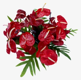 2 Dozen- 24 Red Arranged From Top With Foliage - Anthurium, HD Png Download, Free Download