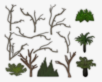 Zoo Tycoon 2 Foliage Packs , Png Download, Transparent Png, Free Download