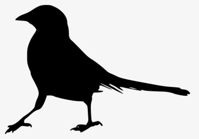 Bird Silhouette Clip Art - Bird Silhouette Transparent Background, HD Png Download, Free Download