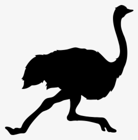 Ostrich Png - Running Ostrich Silhouette, Transparent Png, Free Download