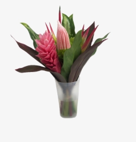 Fun Miracle Mini Tropical Centerpieces - Giant Protea, HD Png Download, Free Download