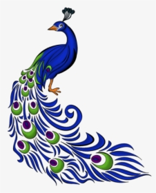 Right Side Blue Vector - Free Hand Drawing Of Peacock, HD Png Download, Free Download