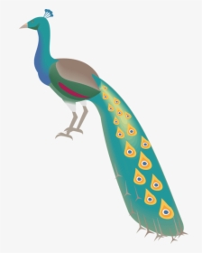 Peacock Peafowl Bird, HD Png Download, Free Download