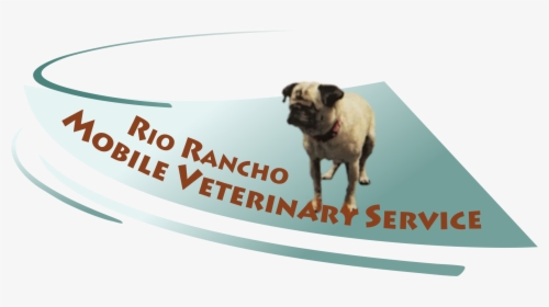 Rio Rancho Mobile Vet - Pug, HD Png Download, Free Download