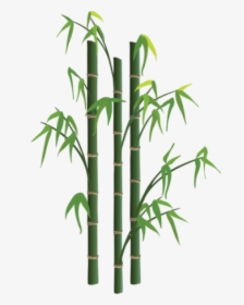 Png Free Images Toppng Transparent Background - Transparent Background Bamboo Png, Png Download, Free Download