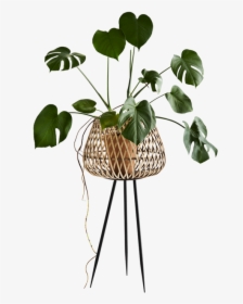 Plant Stand Png Transparent, Png Download, Free Download