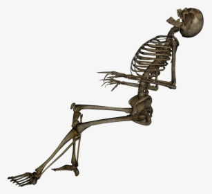 Skeleton Png Background Image - Dead Skeleton Png, Transparent Png, Free Download