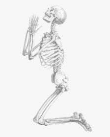 Halloween Skeleton Transparent Background - Praying Skeleton Png, Png Download, Free Download