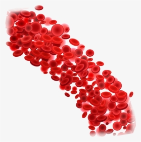 Blood Donation Download Png Image - Red Blood Cells Png, Transparent Png, Free Download
