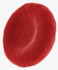 Blood Cells Png - Red Cell, Transparent Png, Free Download