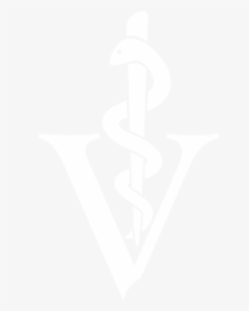Footer Logo - Transparent Veterinarian Logo, HD Png Download, Free Download