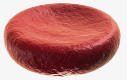Red Blood Cell Diy, HD Png Download, Free Download