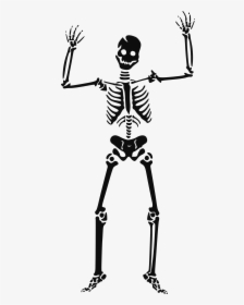Click To Enlarge Image Skeleton Png5556 - Halloween Clipart Skeleton, Transparent Png, Free Download