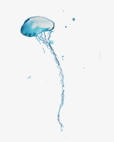 Blue Bottle Jellyfish Png Background - Blue Bottle Jellyfish Png, Transparent Png, Free Download