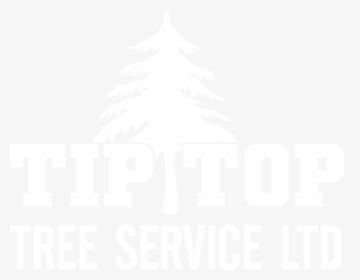Transparent Top Of Tree Png - Christmas, Png Download, Free Download