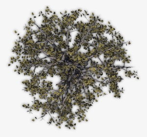 Flower Tree Png View, Transparent Png, Free Download