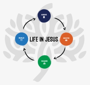 Life In Jesus Circles Strategy With Tree - Graphic Design, HD Png Download, Free Download