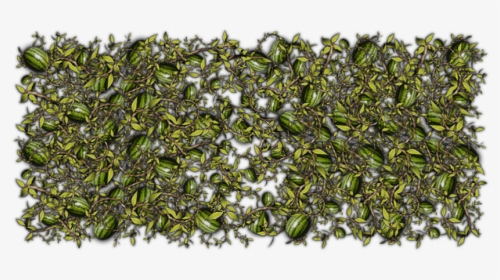 Grass, HD Png Download, Free Download