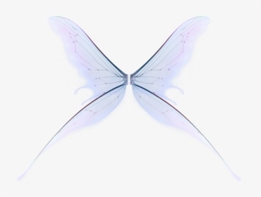 Wings Png Fairy - Lycaenid, Transparent Png, Free Download