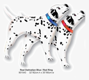 Dalmatian Dog - Dalmatian Balloon, HD Png Download, Free Download