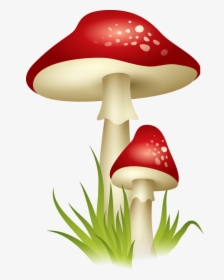 Png Pinterest Mushrooms - Mushroom Clipart Transparent, Png Download, Free Download