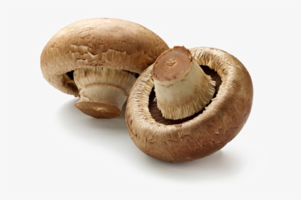 Toadstool Png Download Image - Brown Mushrooms, Transparent Png, Free Download