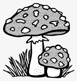 Toadstool - Lineart - Mushroom Clipart Black And White, HD Png Download, Free Download