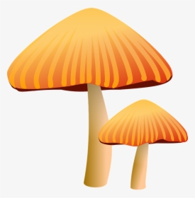 Mushrooms, Brown, Toadstool, Fungus, Growth, Growing, HD Png Download, Free Download