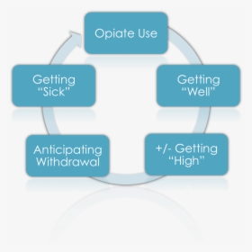 Opiate Cycle - Methods For De Addiction, HD Png Download, Free Download